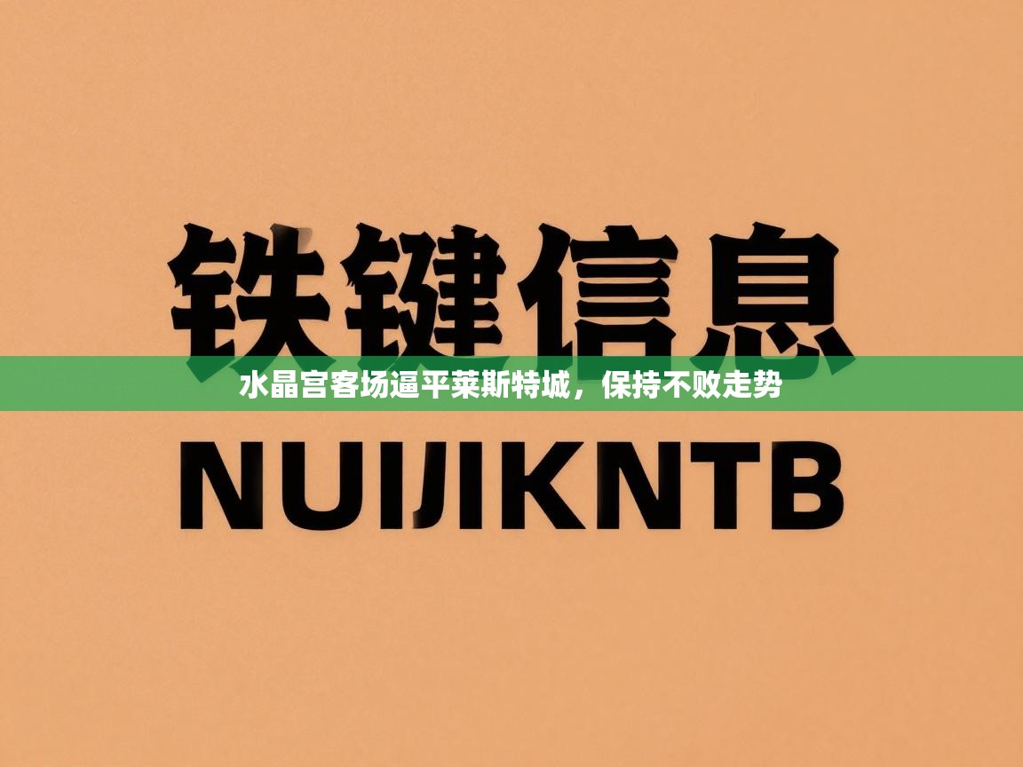 水晶宫客场逼平莱斯特城,保持不败走势 第1张