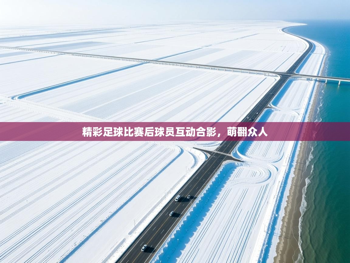 精彩足球比赛后球员互动合影，萌翻众人  第1张