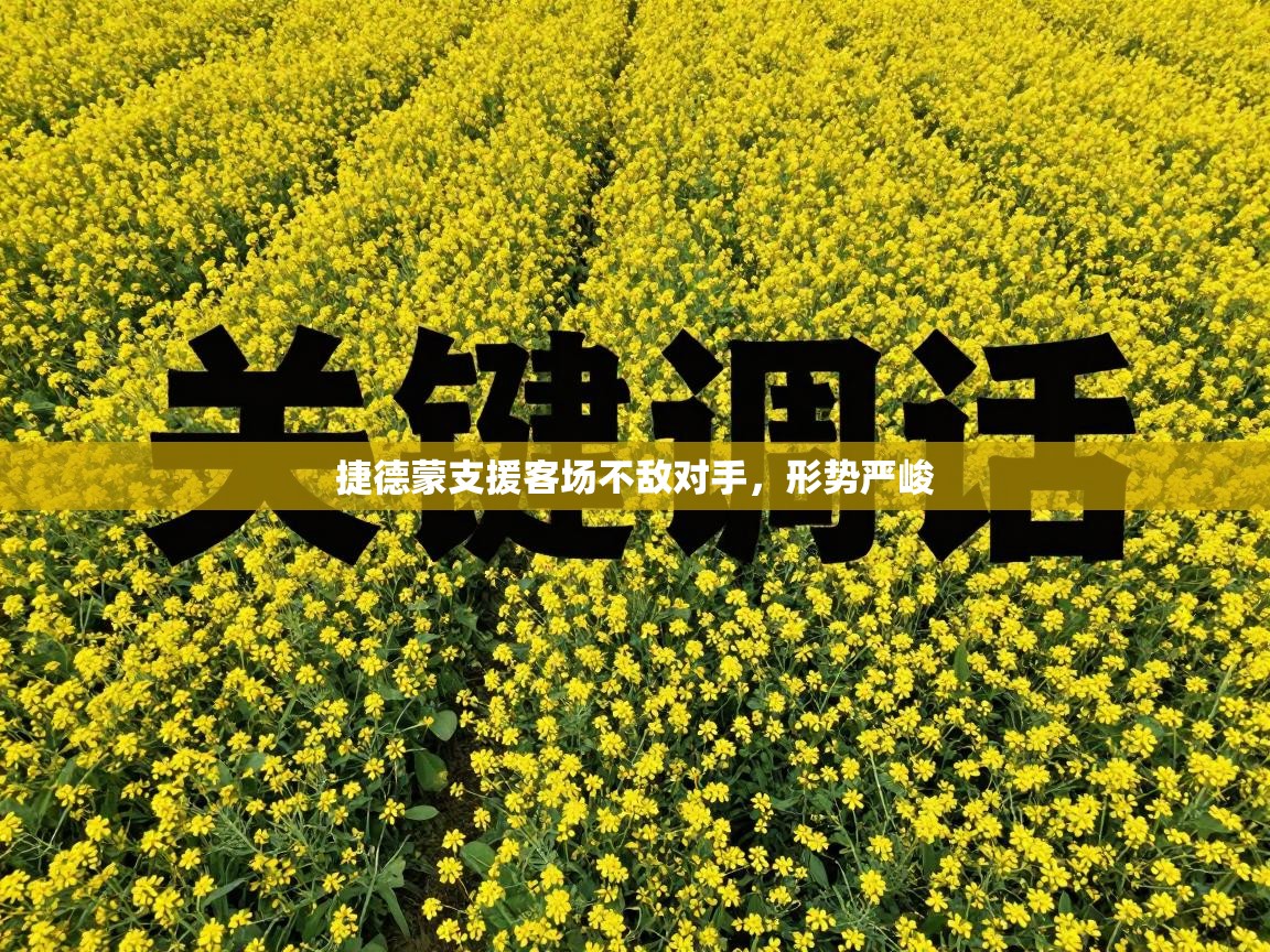 捷德蒙支援客场不敌对手，形势严峻  第1张