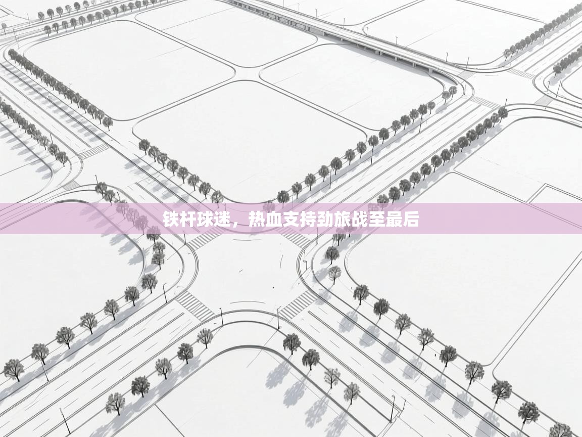 铁杆球迷,热血支持劲旅战至最后 第1张