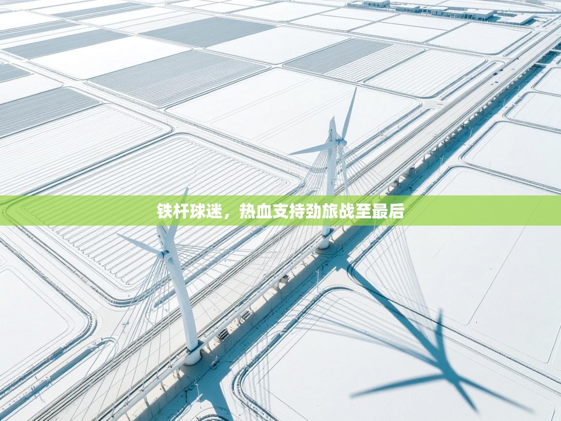 铁杆球迷,热血支持劲旅战至最后 第2张