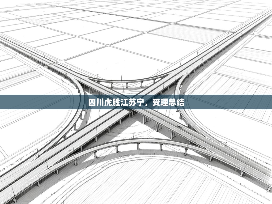 四川虎胜江苏宁,受理总结 第1张