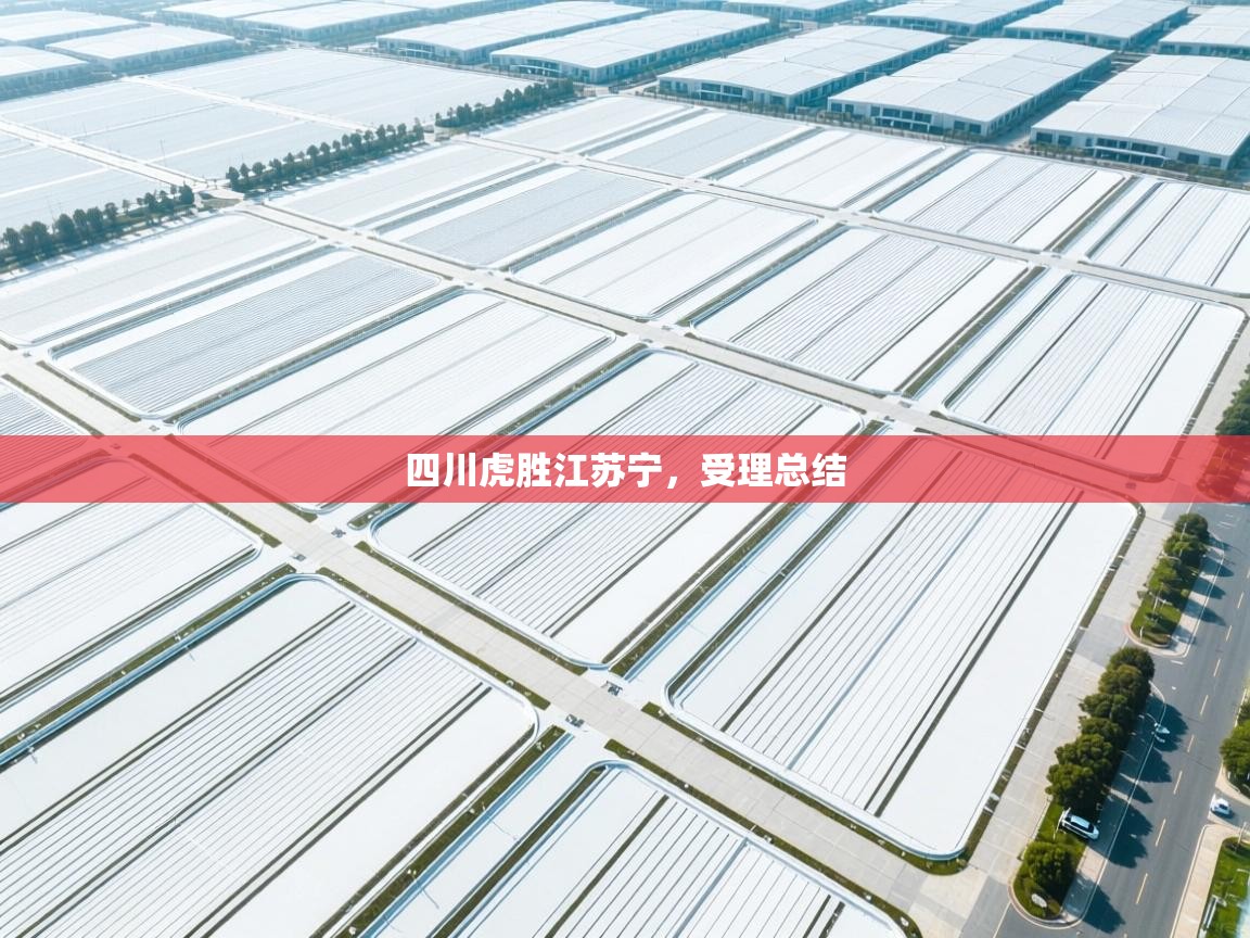 四川虎胜江苏宁,受理总结 第2张