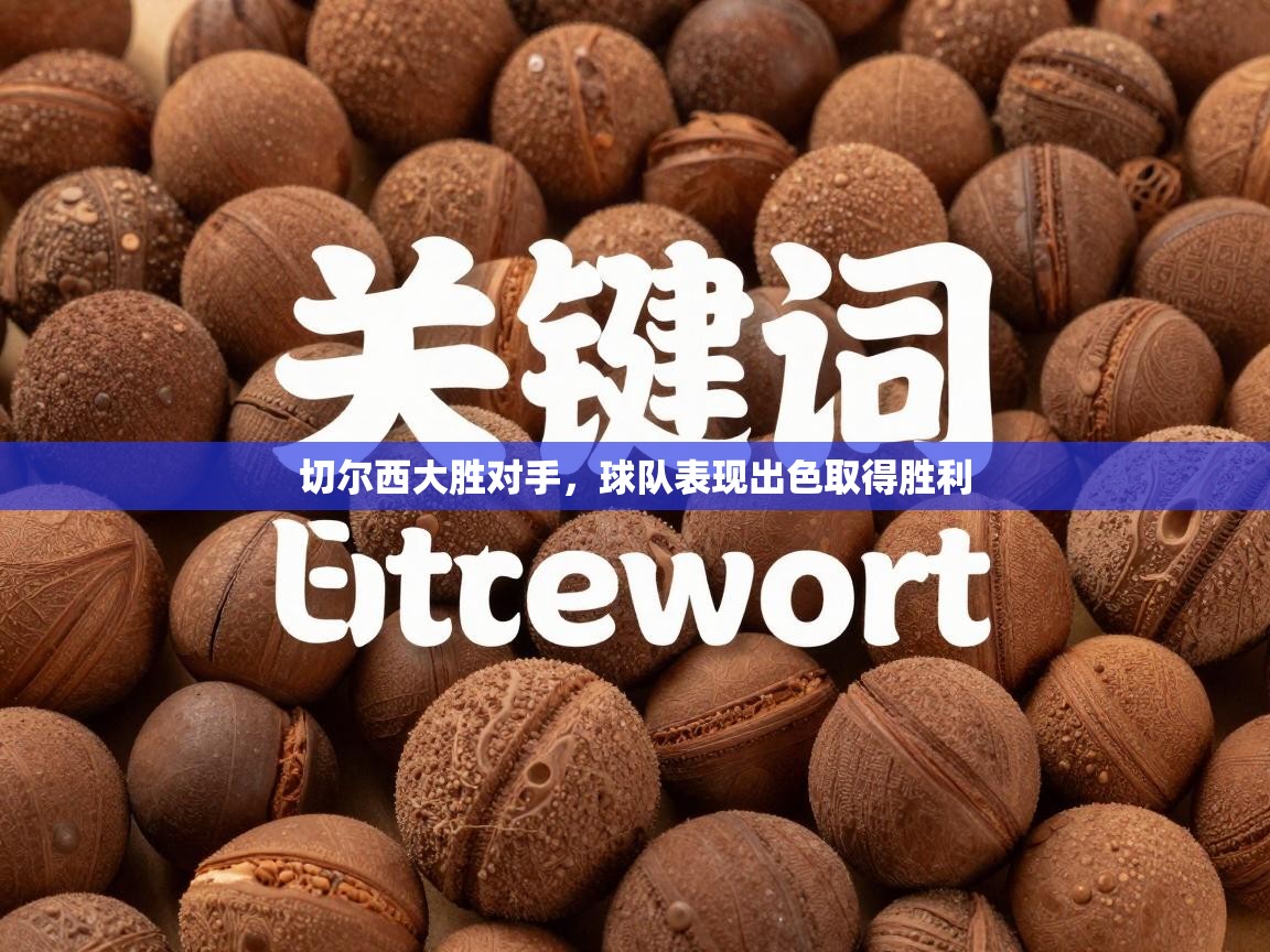 切尔西大胜对手,球队表现出色取得胜利 第1张